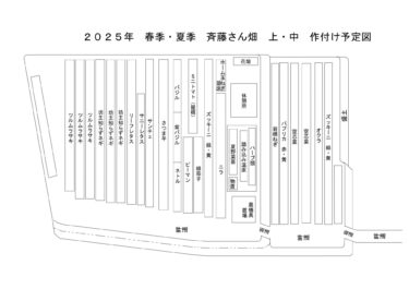 2025年2月13日(木)の作業記録 (強風の為に午前中の前半で本日の作業は中止となりました)